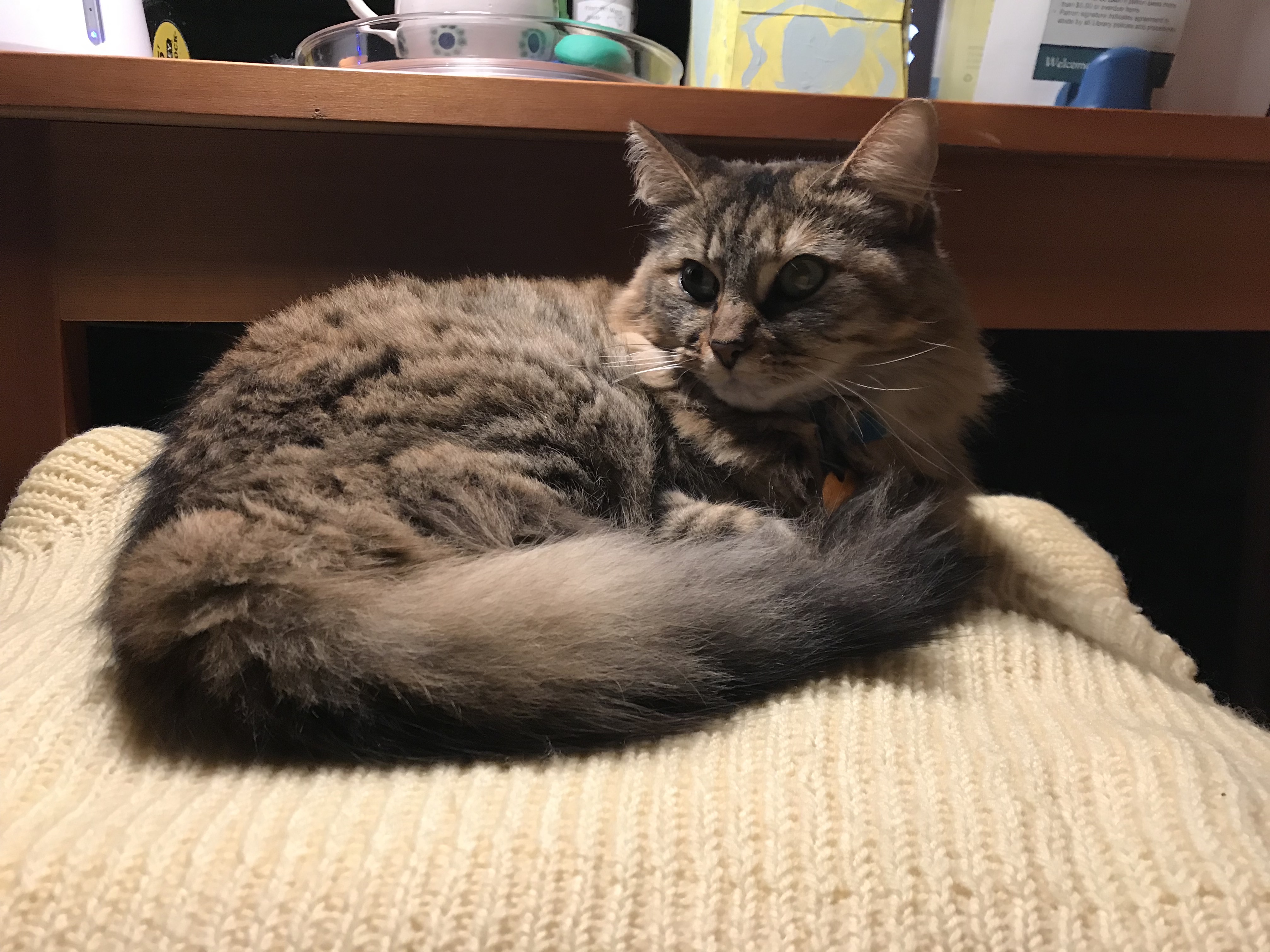 LkTbLz3%S8SyzyjPwPKoOA