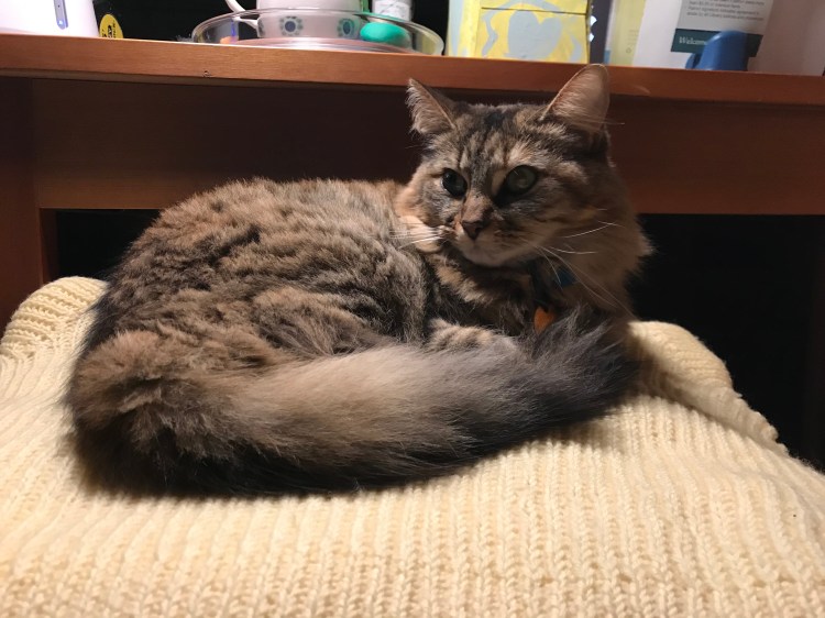 LkTbLz3%S8SyzyjPwPKoOA